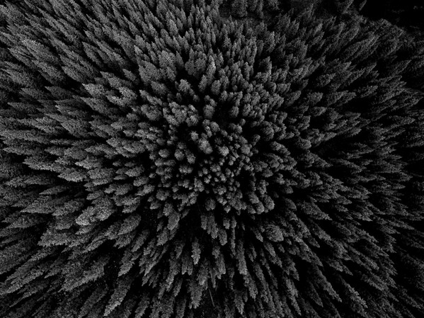 409