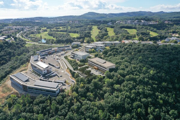SOPHIA ANTIPOLIS bureau à vendre ou à louer au sein de la nature en symbiose avec son environnement