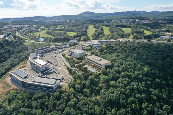 SOPHIA ANTIPOLIS bureau à vendre ou à louer au sein de la nature en symbiose avec son environnement à Biot