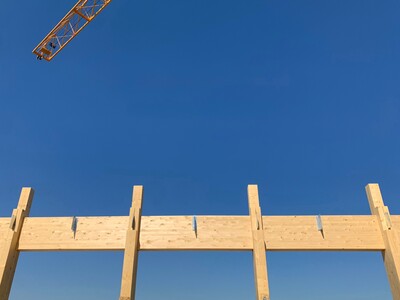 Structure bois et bureaux