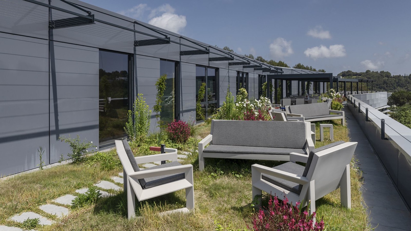 bureaux Terrasse immeuble biosourcé charpente bois environnement